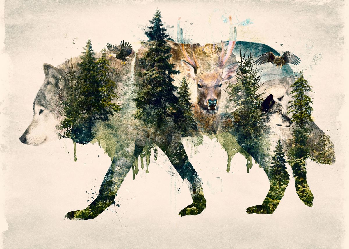 Волк в лесу акварель