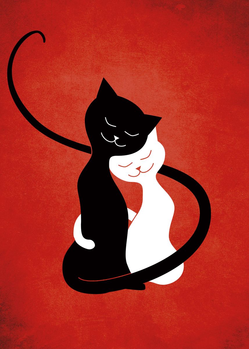 'Cute cats illustration of a black and white cat hugging ' Poster