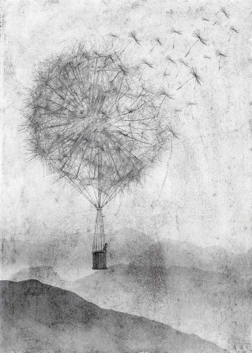 'Dandelion Daydream' Poster, picture, metal print, paint by David