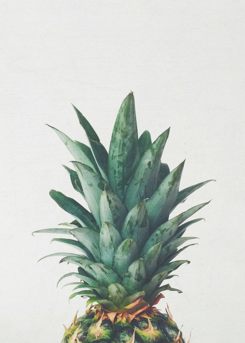 'Pineapple Top' Poster by Cassia Beck | Displate