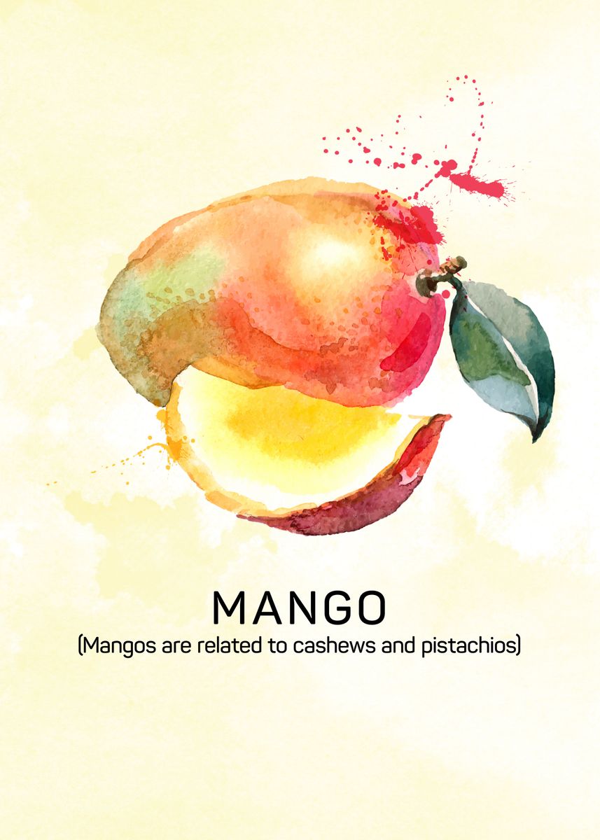 Fun facts about fruits: <b>Mangos</b> are related to cashews a ... &apos; Poster, ...