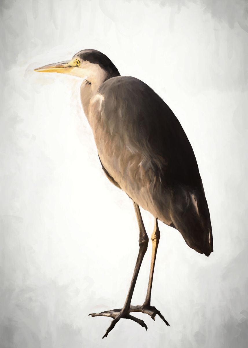 'heron In Autumn' Poster, Picture, Metal Print, Paint By Ornella 