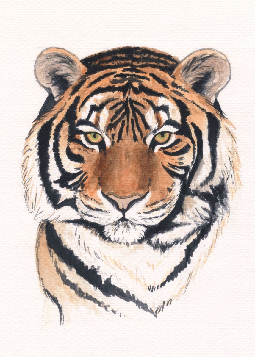 Тигриная печать. Тигр в круге. Тигр печать. Тигр портрет рисунок