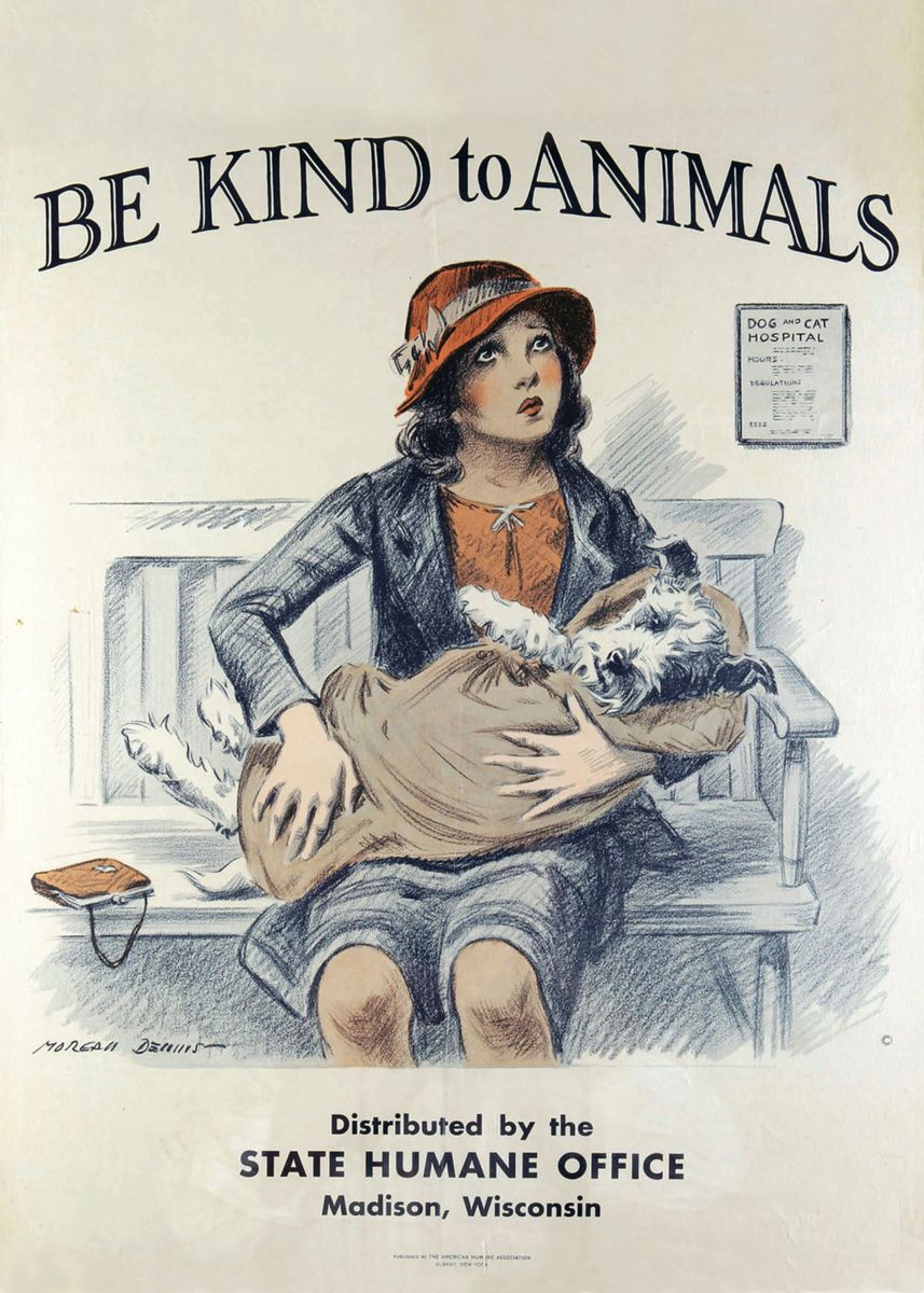 'Vintage Animals Poster' Poster by Fine Art   | Displate