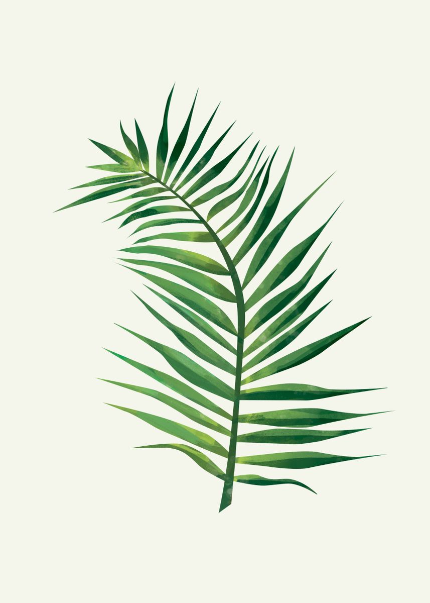 'Palm Leaf 2' Poster by Tomasz Dąbek | Displate