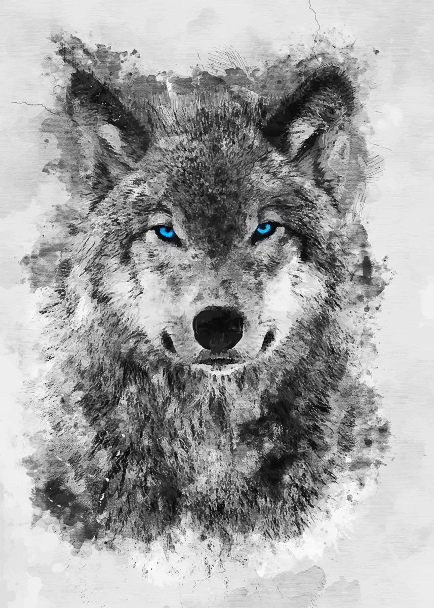 'Grey Wolf Blue eyes' Poster by SyanArt  | Displate