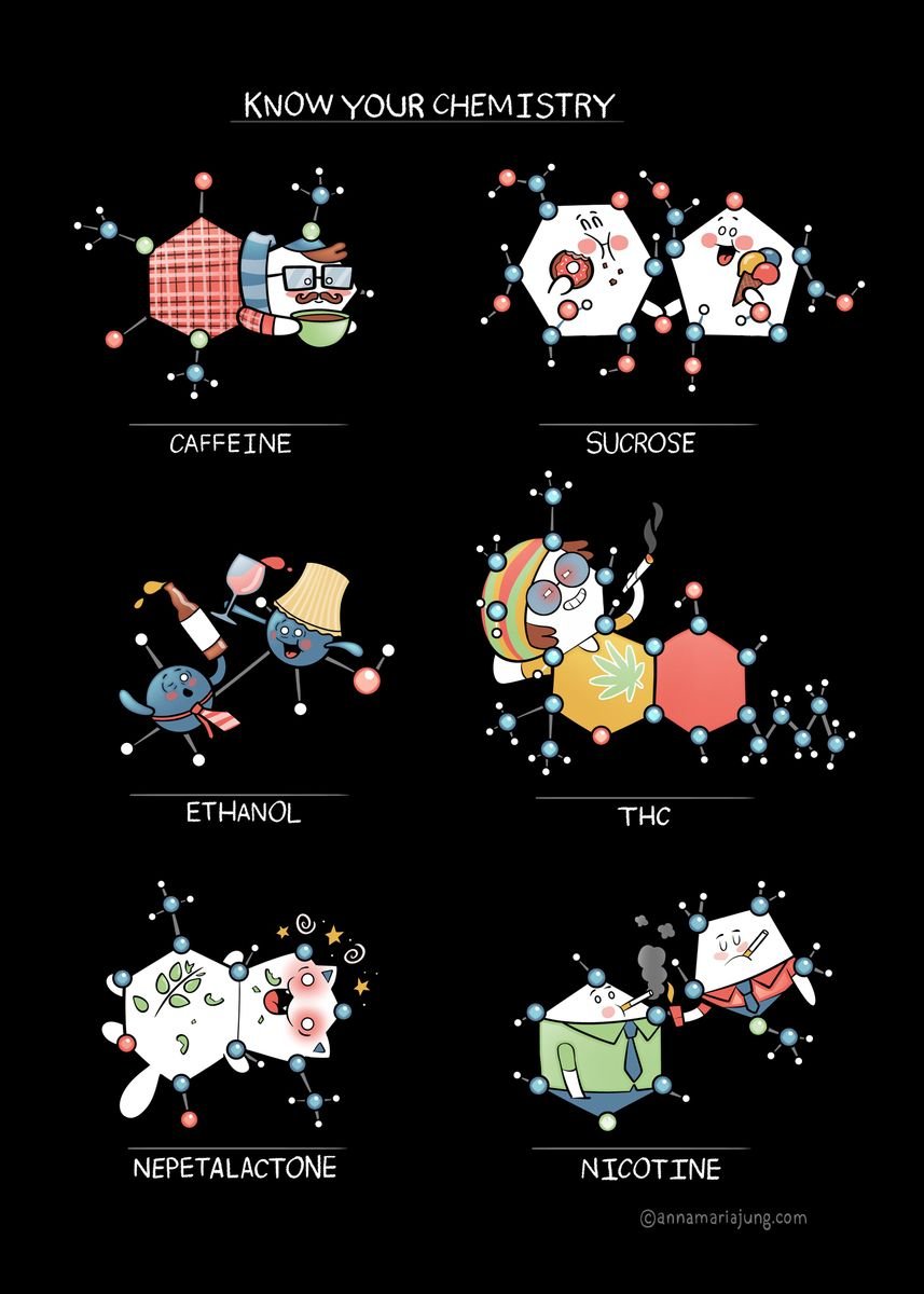 'Know Your Chemistry' Poster by Anna Maria Jung | Displate