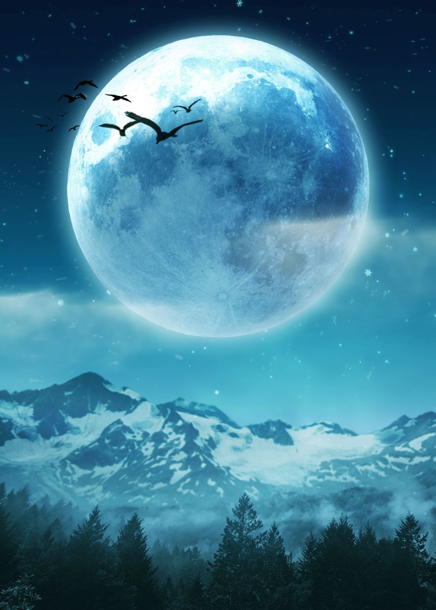'Moonlight' Poster, picture, metal print, paint by Hamouda Baccar ...