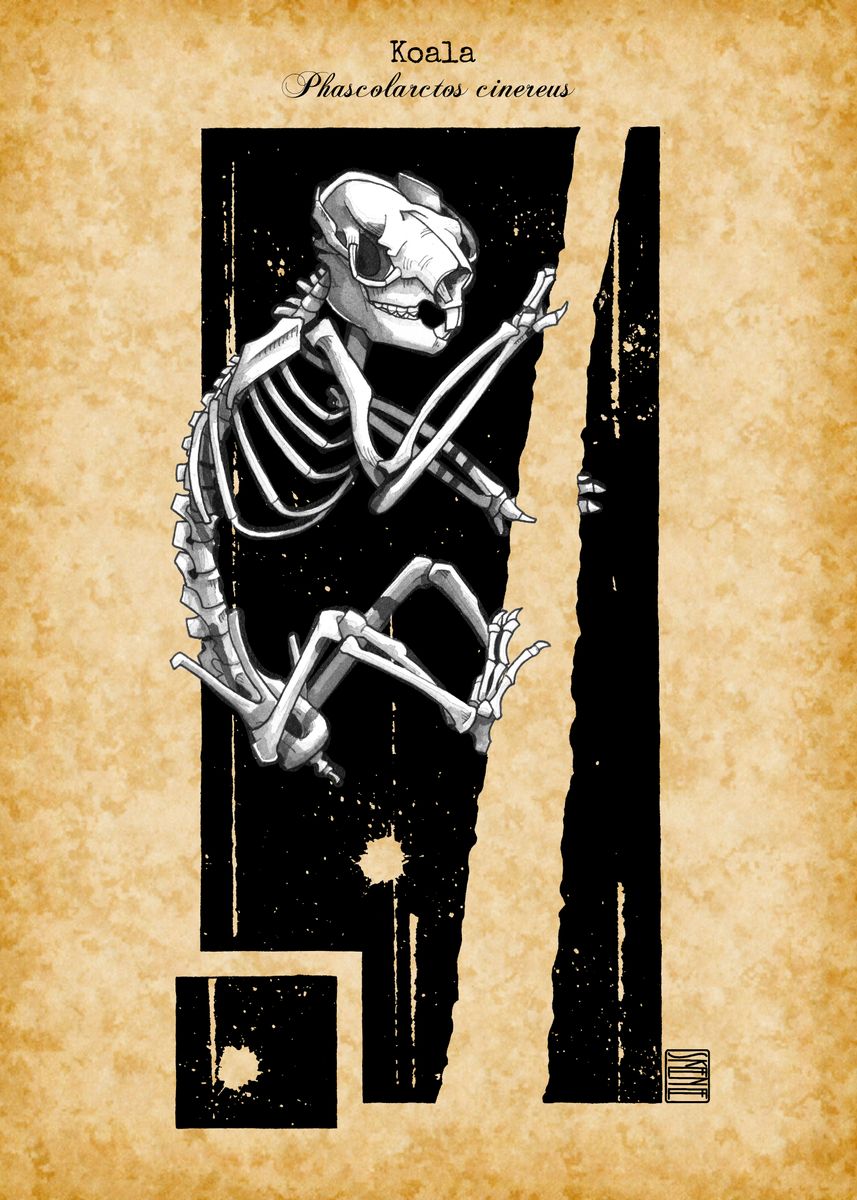 'Koala Skeleton' Poster, picture, metal print, paint by Skeenee Art ...