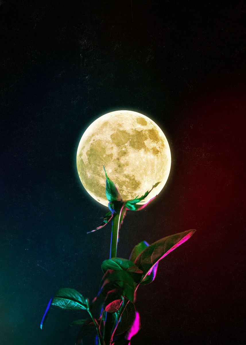 Лунный цветок арт