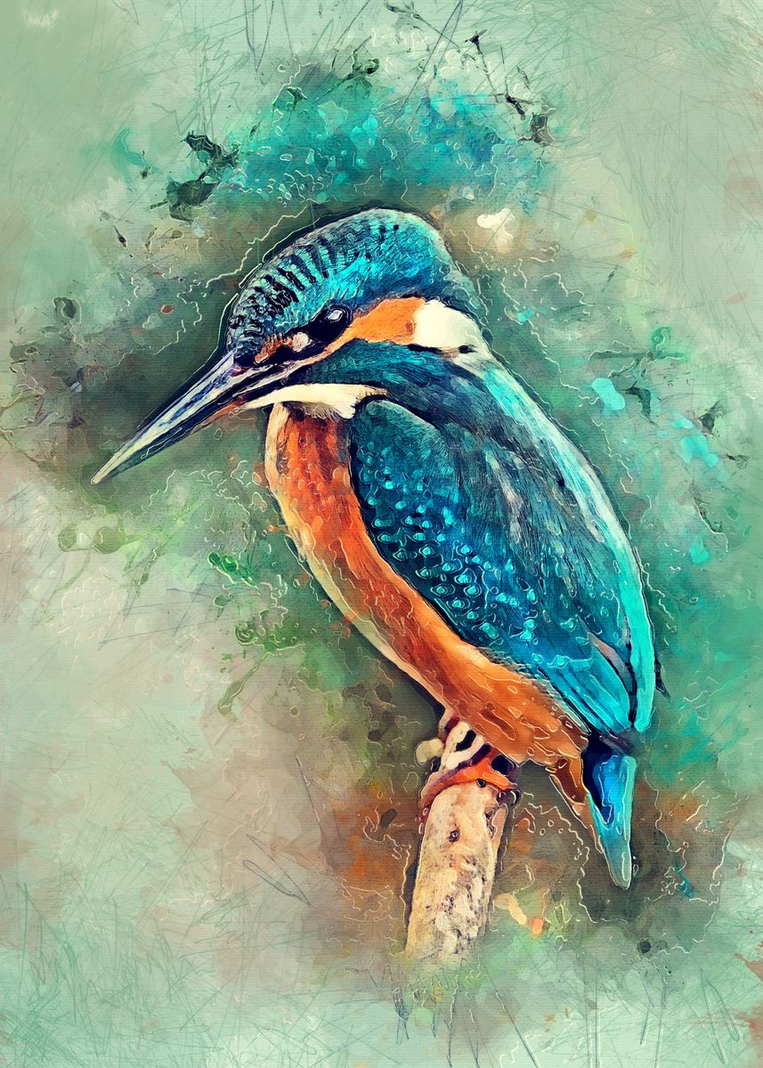 'Kingfisher' Poster by JBJart Justyna Jaszke | Displate