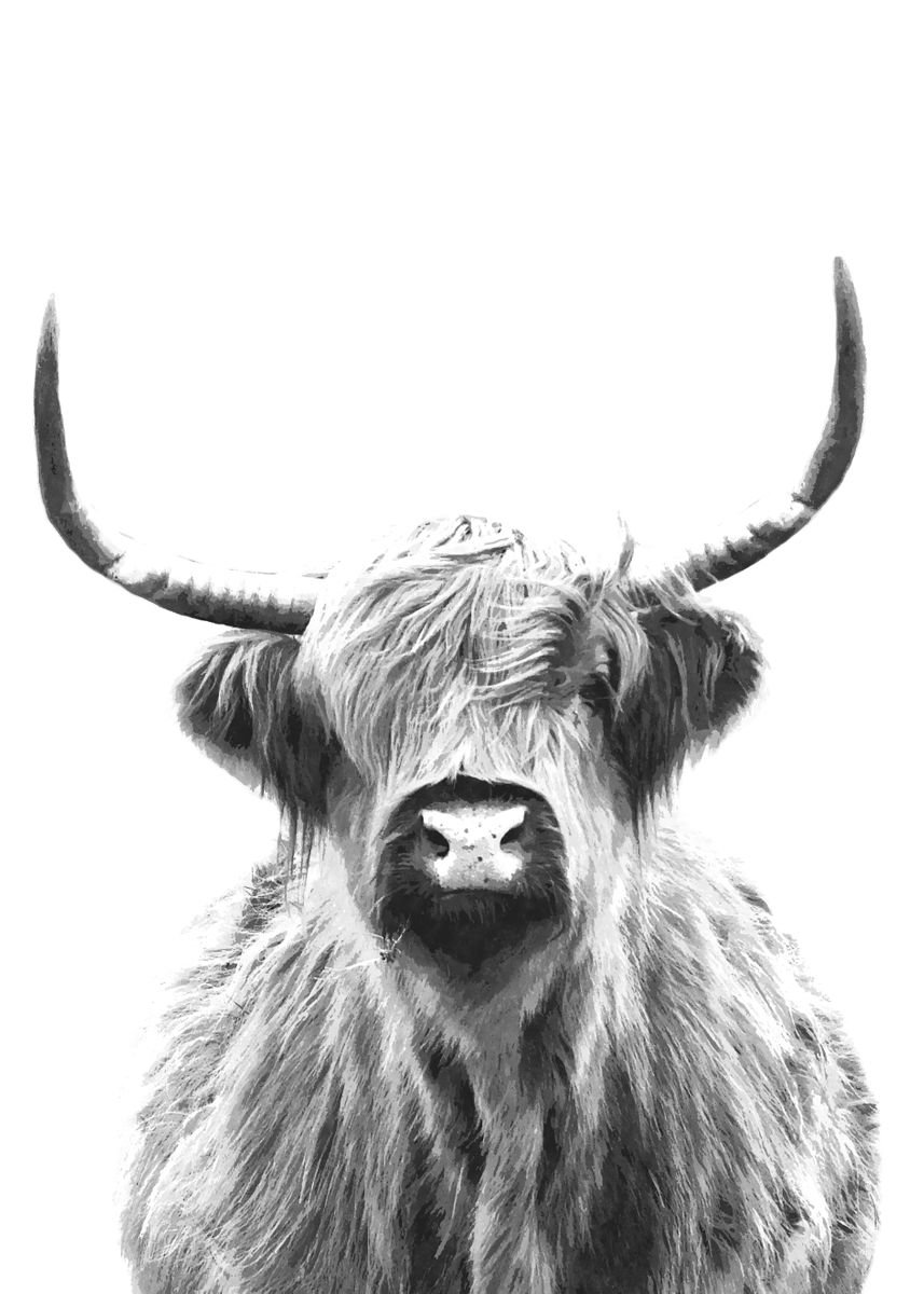 'Black White Highland Cow' Poster by Alemi Prints | Displate