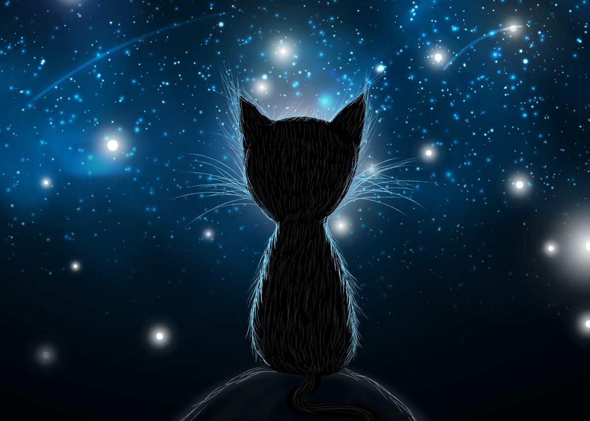 Lonely Cat Watching Stars Royalty Free Vector Image