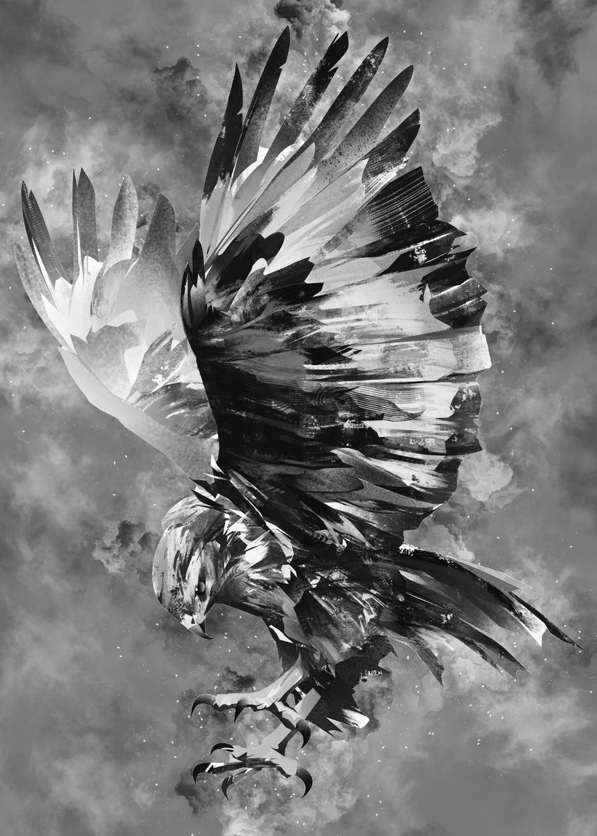 'Eagle 4' Poster, picture, metal print, paint by Mateusz Ślemp | Displate