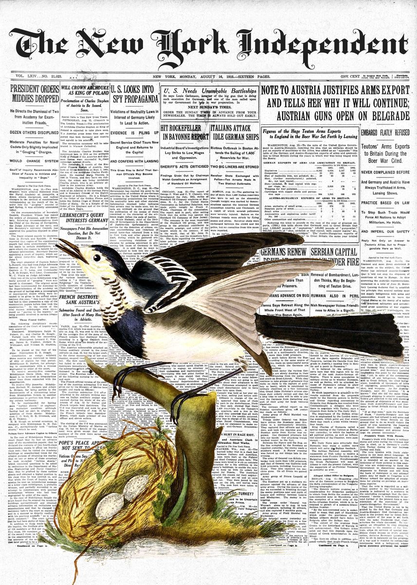 'Wagtail Bird Newspaper' Poster by Print Maker Displate
