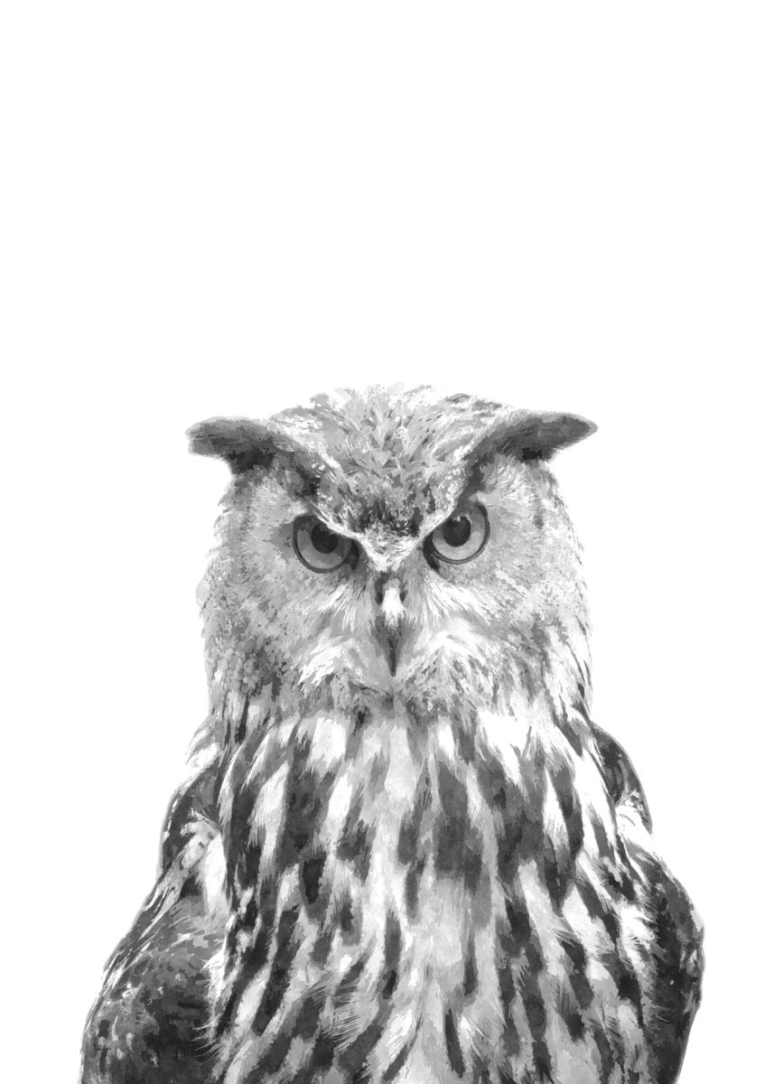 'Black and White Owl' Poster by Alemi Prints Displate
