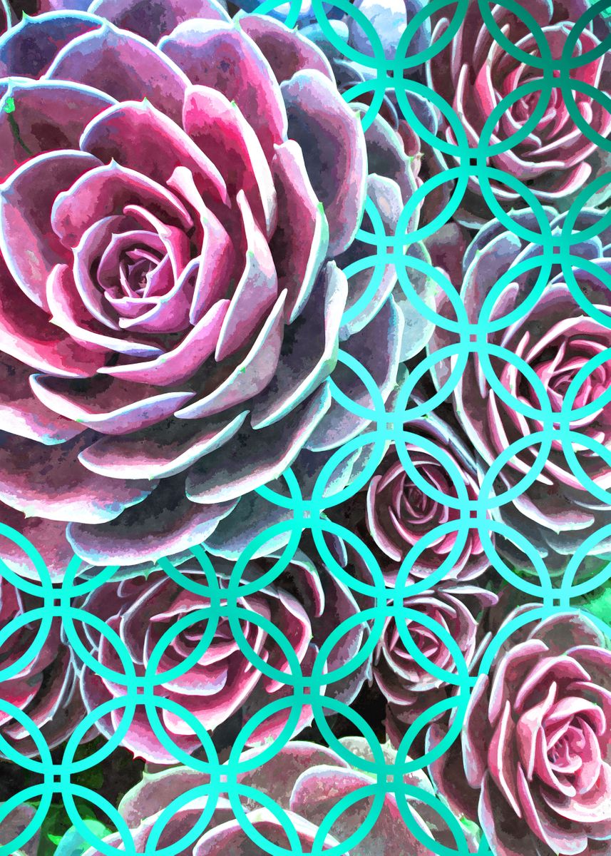 'Purple Succulents Circle' Poster, picture, metal print, paint by Alemi ...
