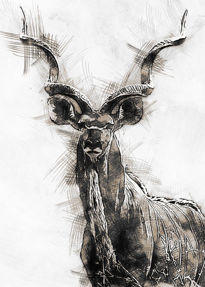 'Kudu' Poster by Andries Volschenk | Displate