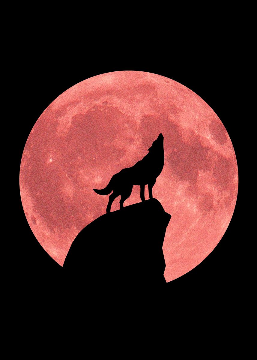 black wolf howling at the red moon