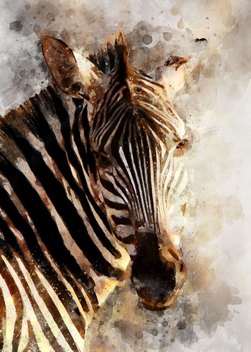 'Zebra' Poster, picture, metal print, paint by Printed Artings | Displate