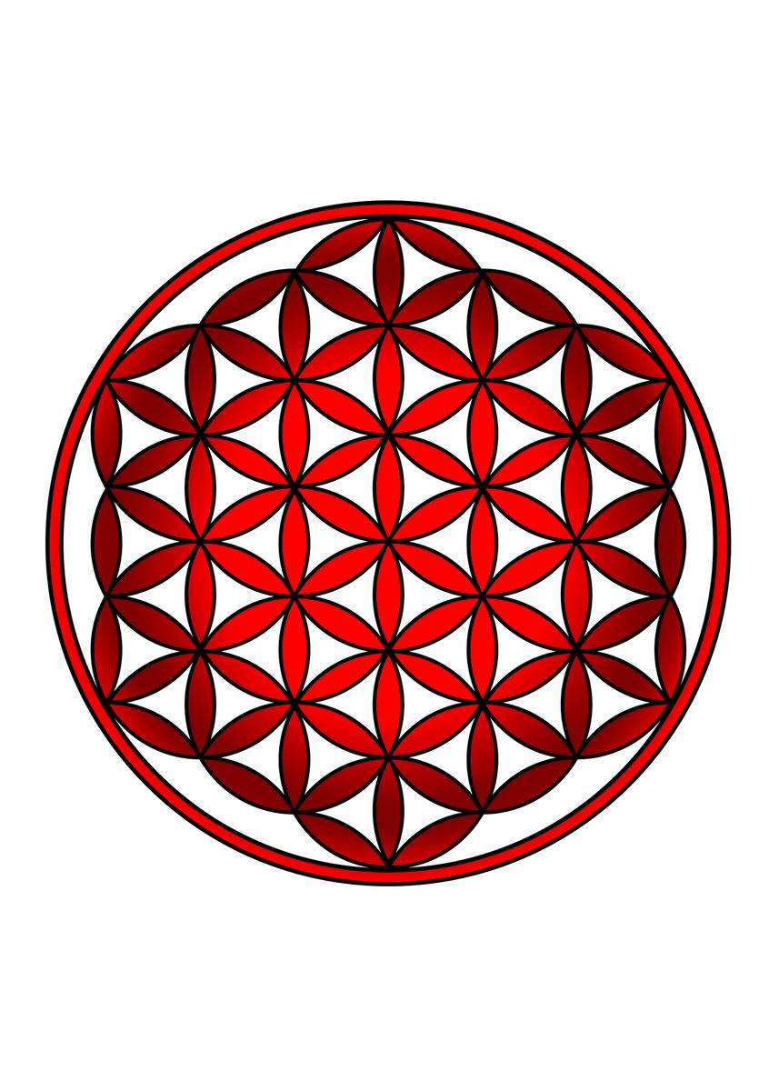 'Flower of Life spiritual ' Poster by Silhouette Boss | Displate