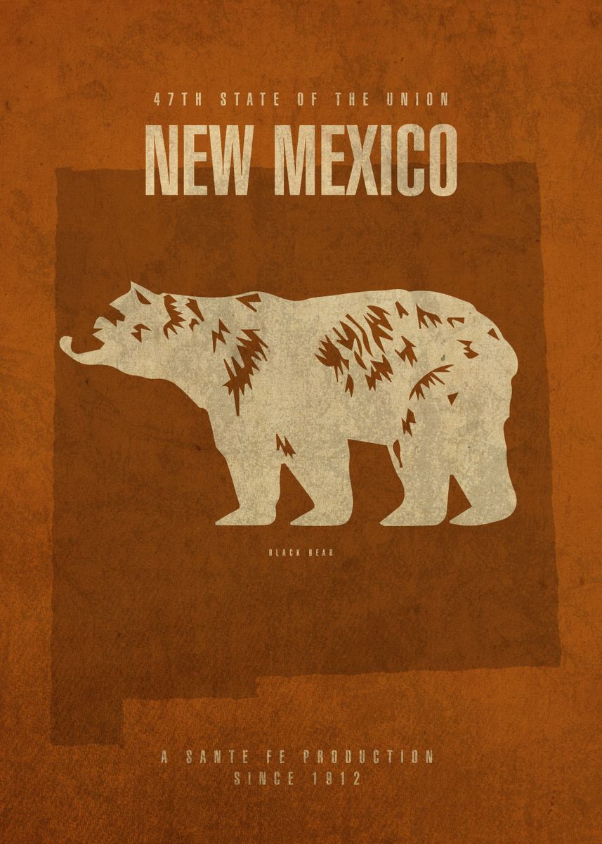 new-mexico-state-facts-poster-picture-metal-print-paint-by-design