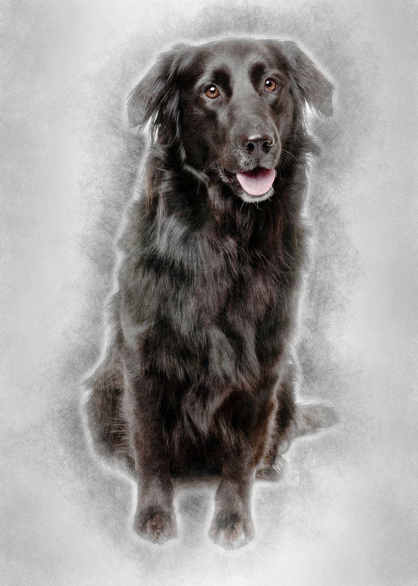 Labra Cross 'Crossbreed between a Labra' Poster by Noahs Ark | Displate