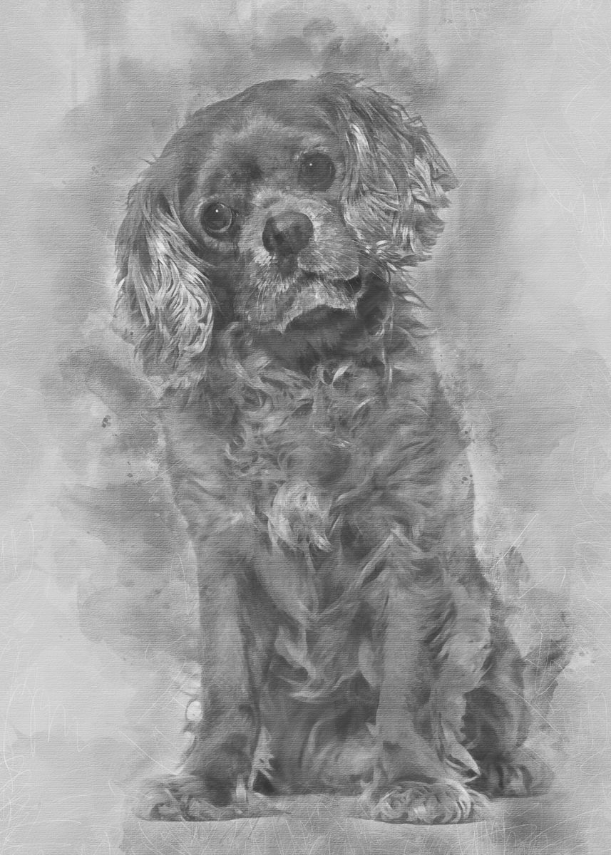 ‘Cavalier King Charles dog ’ Poster by Noahs Ark | Displate