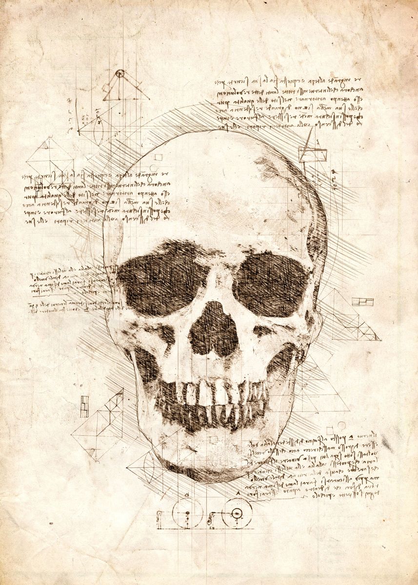 'Human Skull' Poster by Cornel Vlad | Displate
