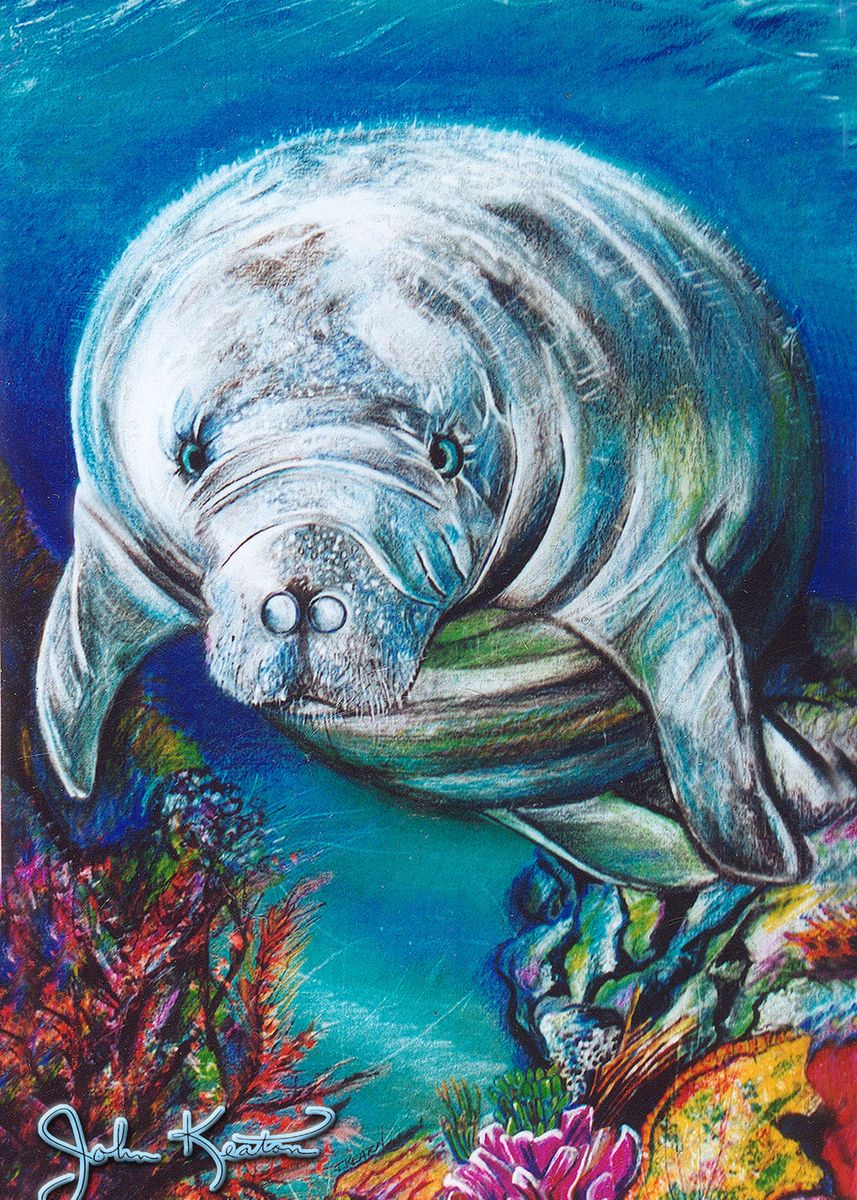 Rocket Manatee Art