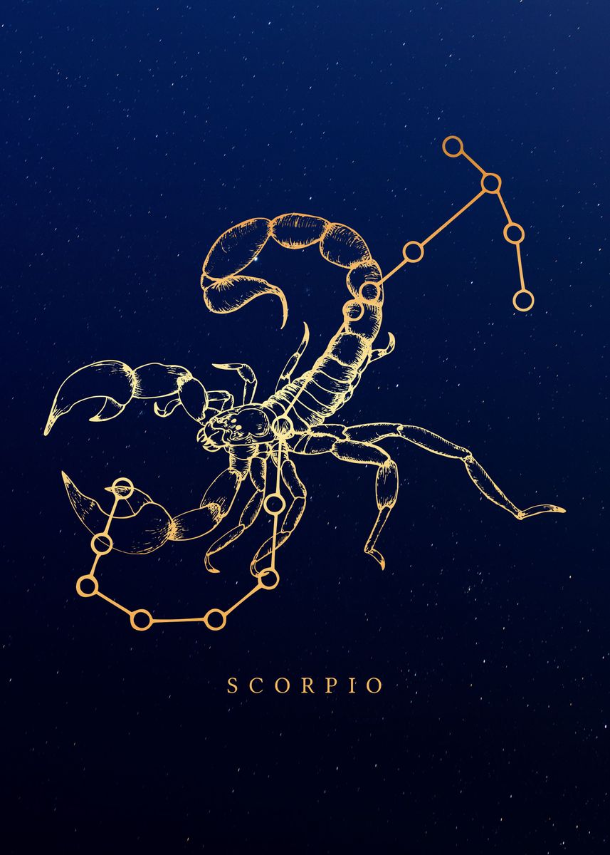 'Zodiac Scorpio' Poster, picture, metal print, paint by JTE Creatives ...