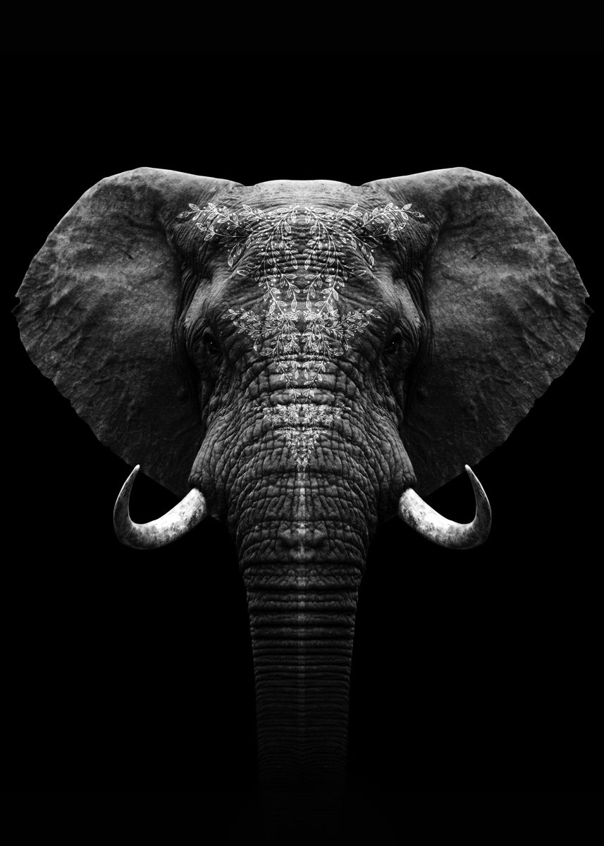 'Elephant head art ' Poster, picture, metal print, paint by mk studio | Displate
