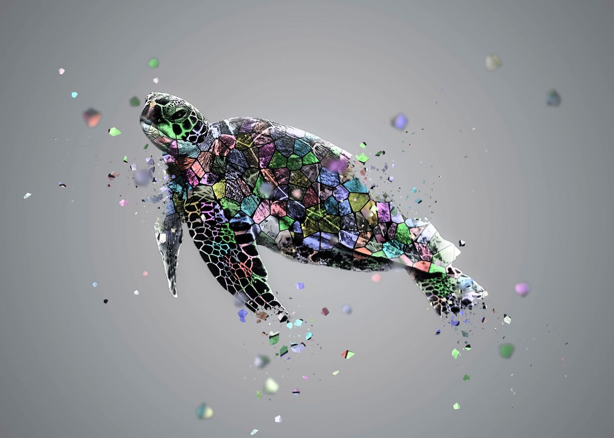 'la mosaique de la tortue I' Poster by Catherine Fortin | Displate