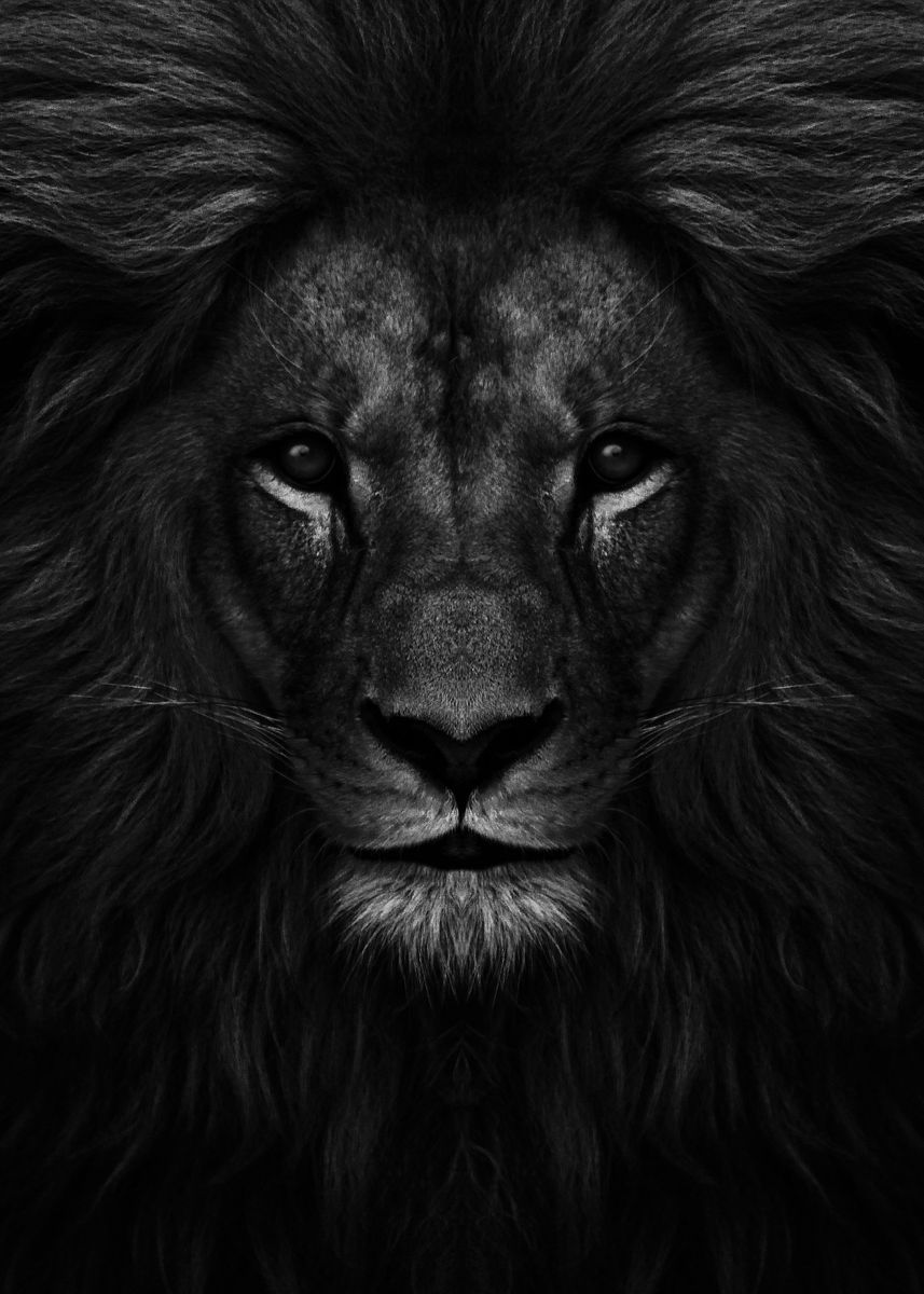 Black Lion head artwork ' Poster by MK studio | Displate