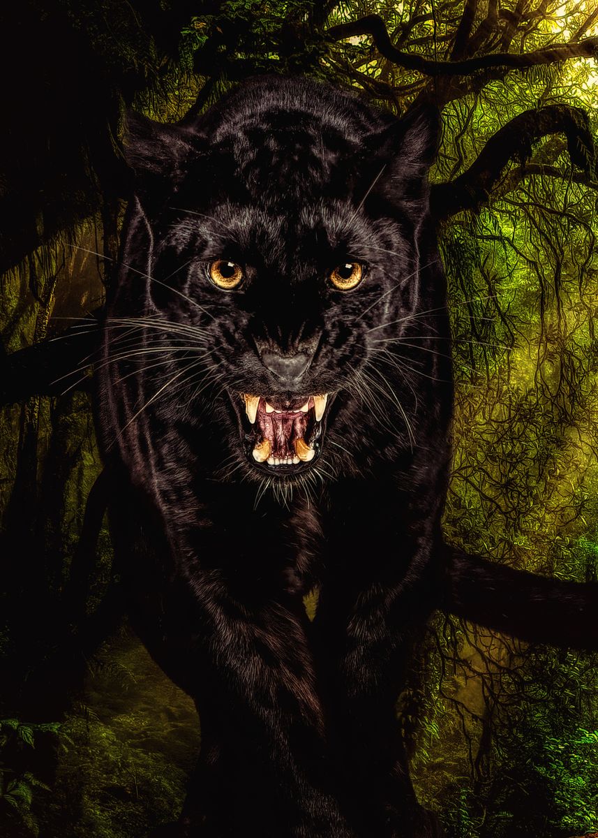 'Warrior Panther' Poster by Scott Ward | Displate