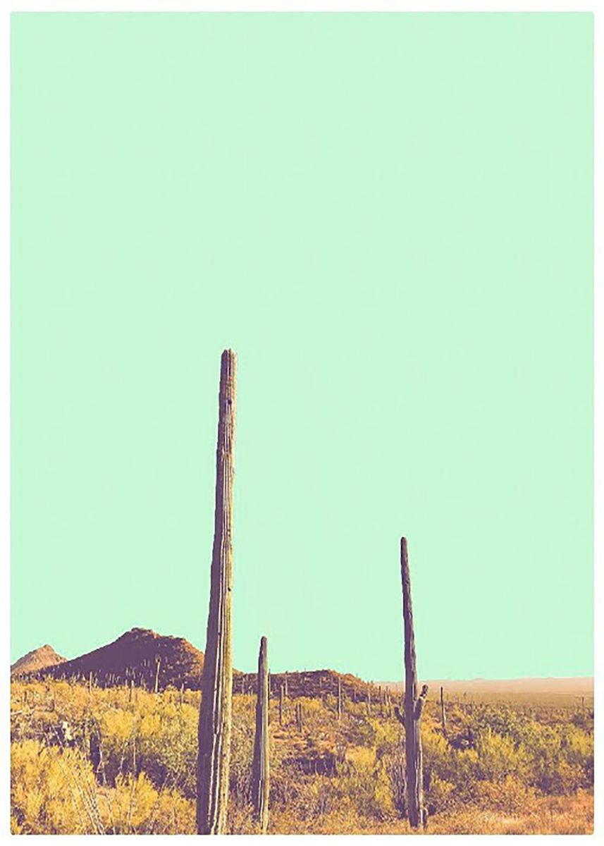 'Desert Pop' Poster by Jordan | Displate