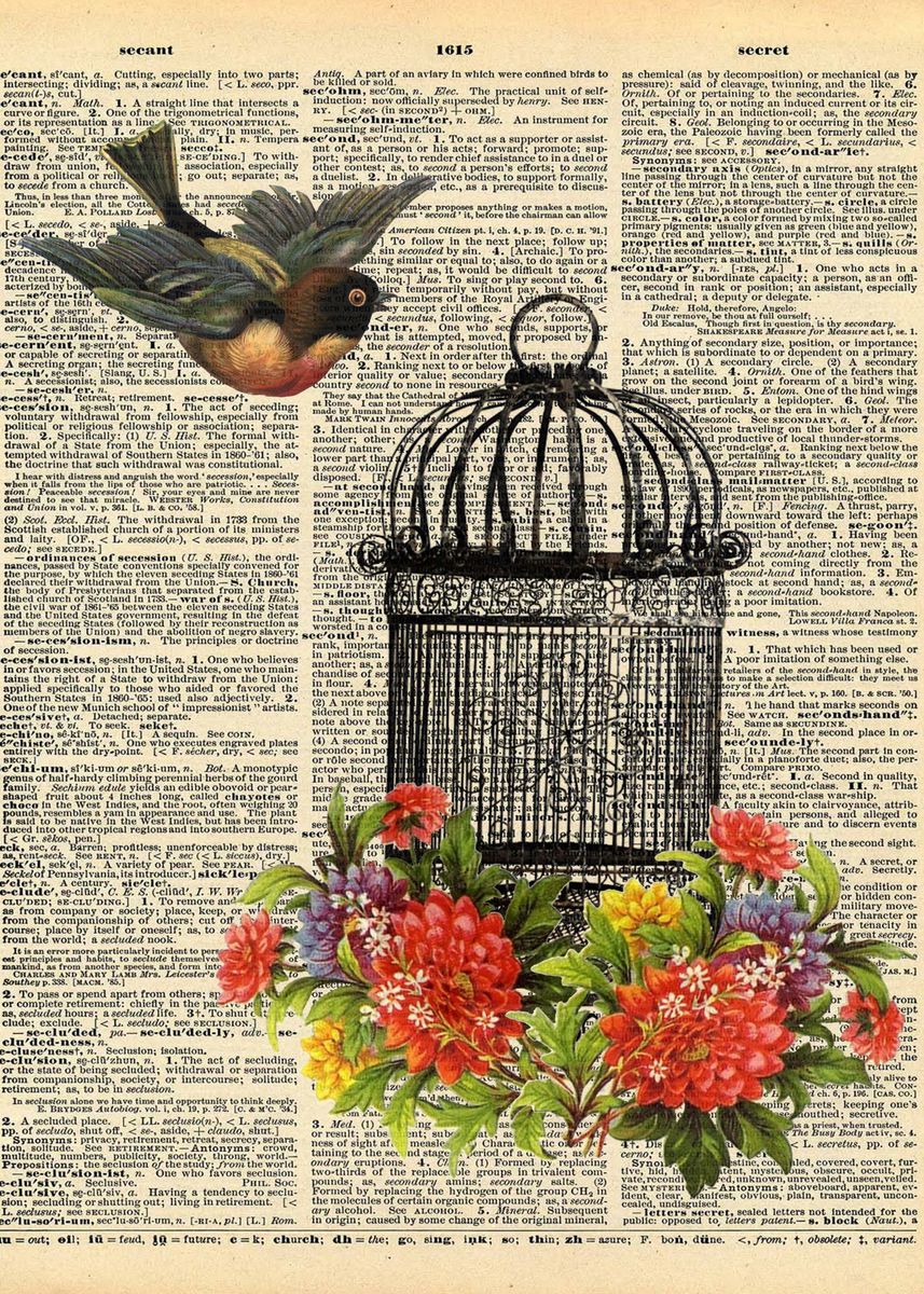 'Birdcage on Dictionary Pag' Poster, picture, metal print, paint by