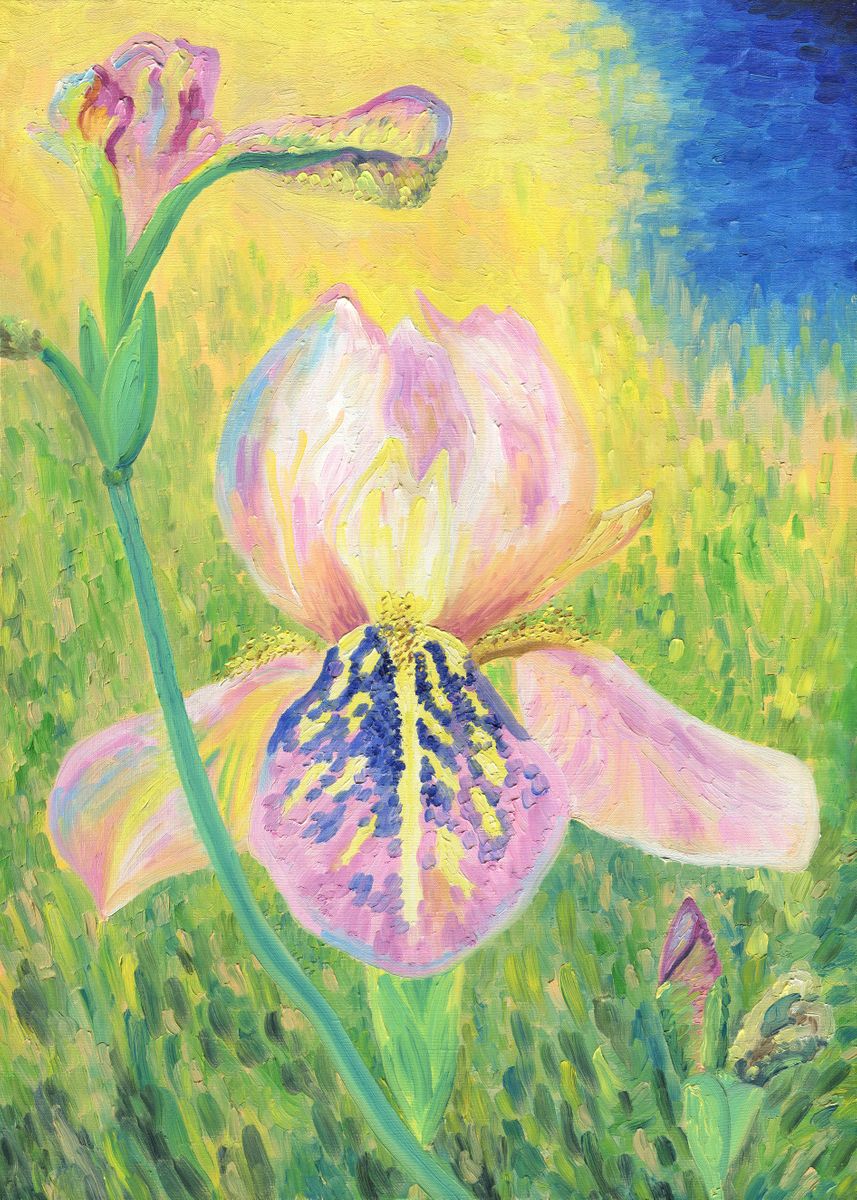 'Iris Flower' Poster by Victor Chaika Displate