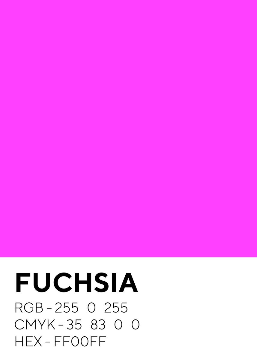 Site-wide CSS for your website, using named color Fuchsia (hex code #FF00FF) and its related colors