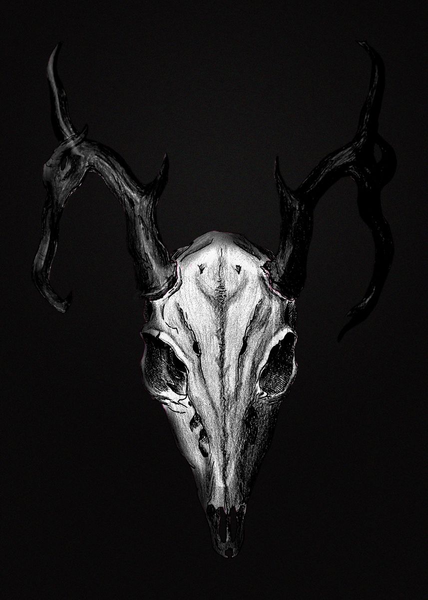 'Deer skull BnW' Poster by Batha Engelhardt | Displate