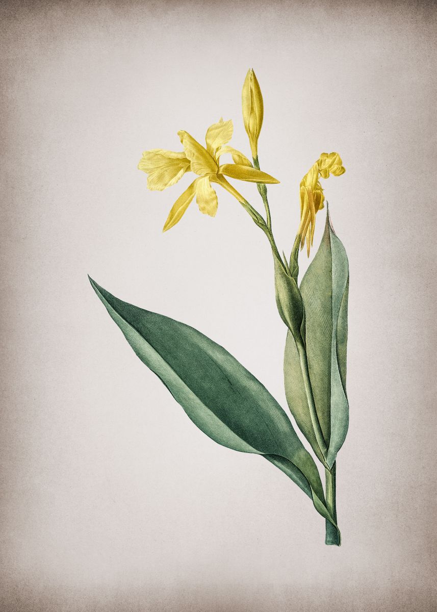 'Bandana of the Everglades ' Poster by Holy Rock Design Displate