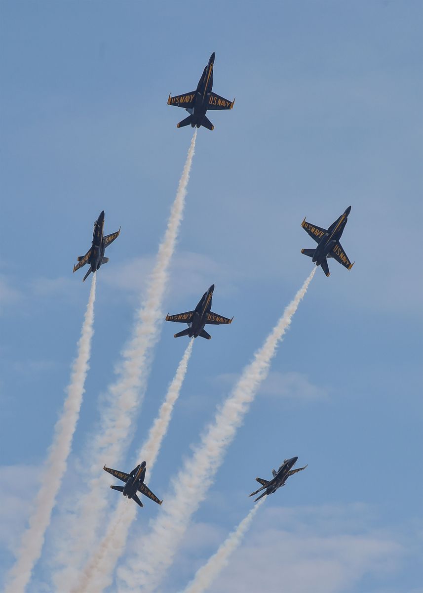 'Blue Angels' Poster, picture, metal print, paint by Conceptual ...