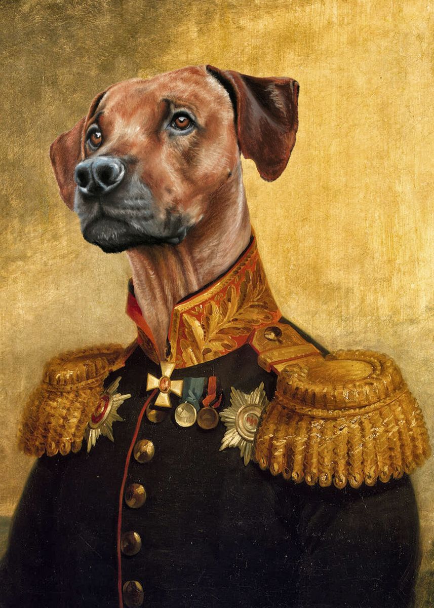 'Rhodesian ridgeback' Poster, picture, metal print, paint by mad ...