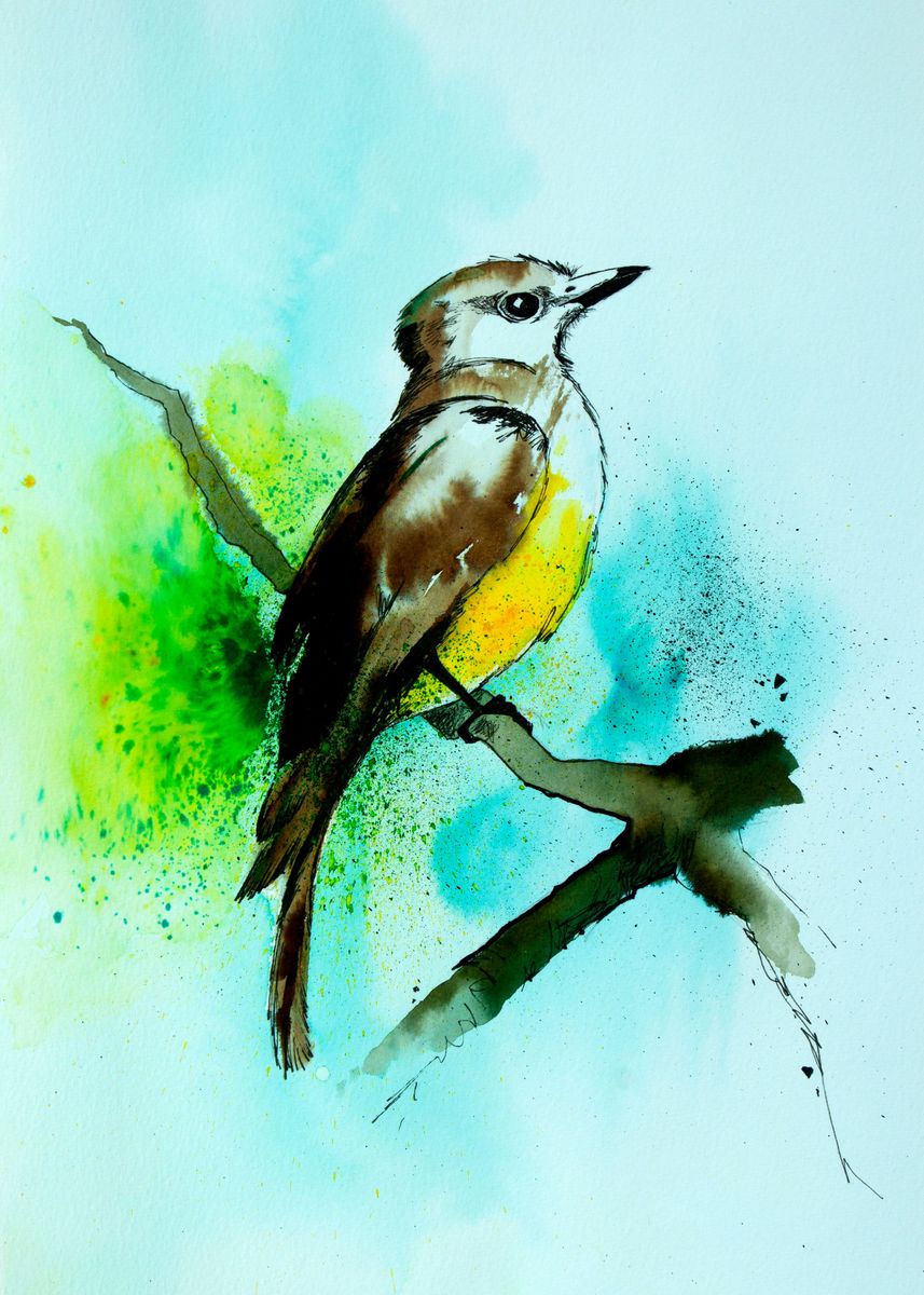 'Bird: The Great kiskadee' Poster, picture, metal print, paint by ...