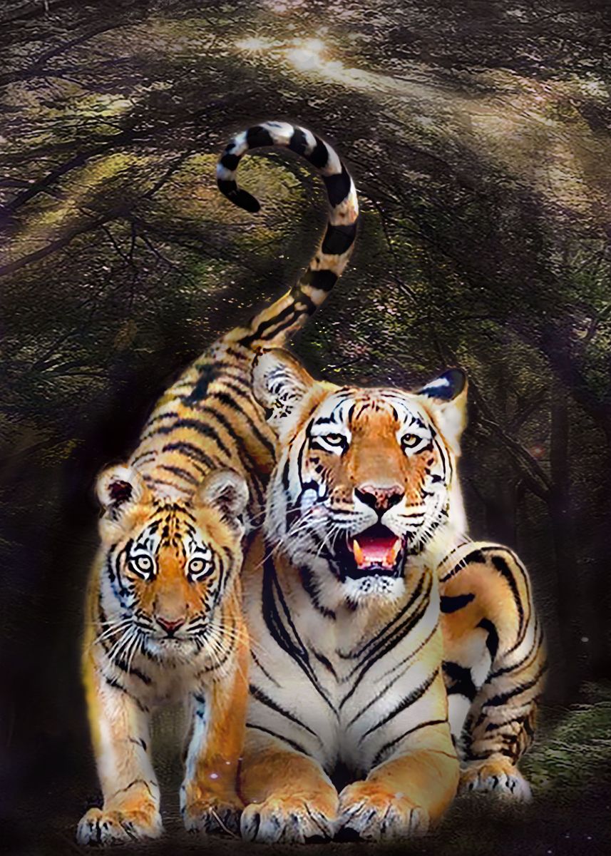 'TiGER 01' Poster, picture, metal print, paint by Ahasan Murad | Displate