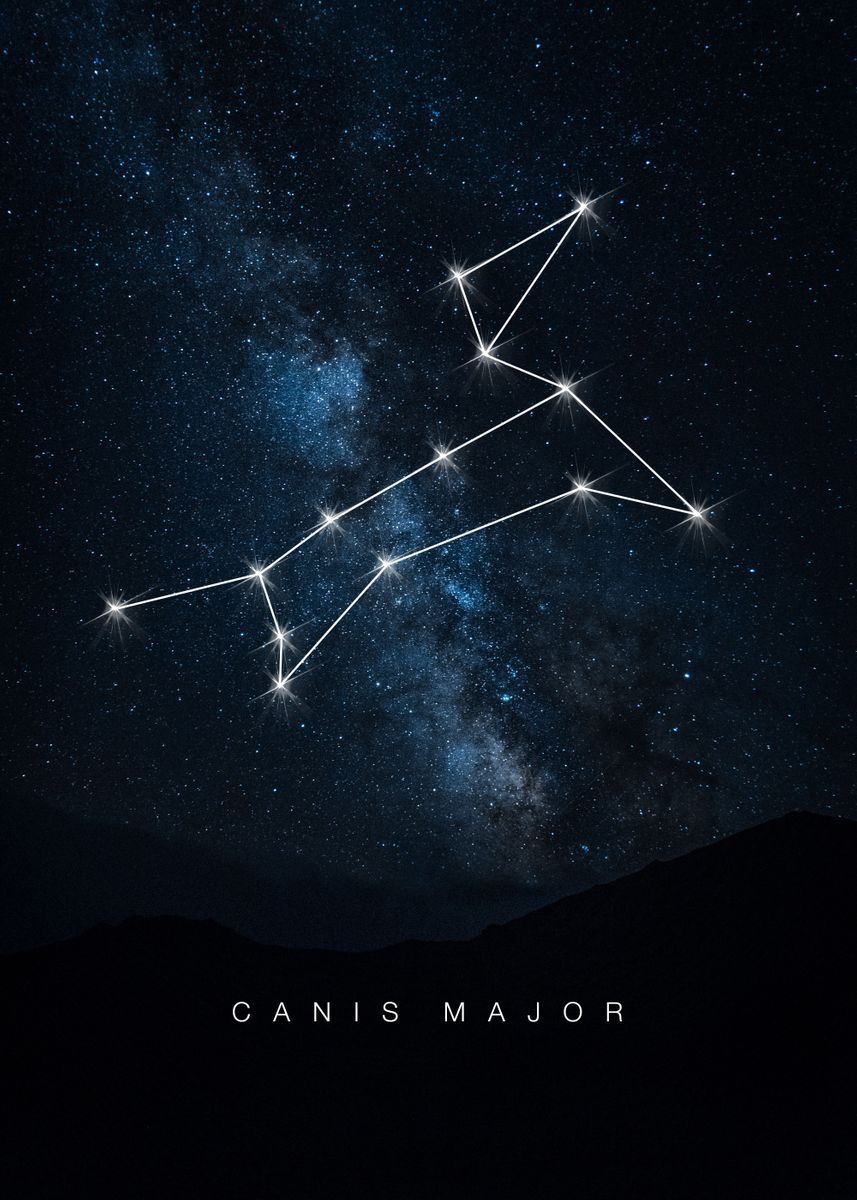 Canis Major Poster By Xavier Vieira Displate