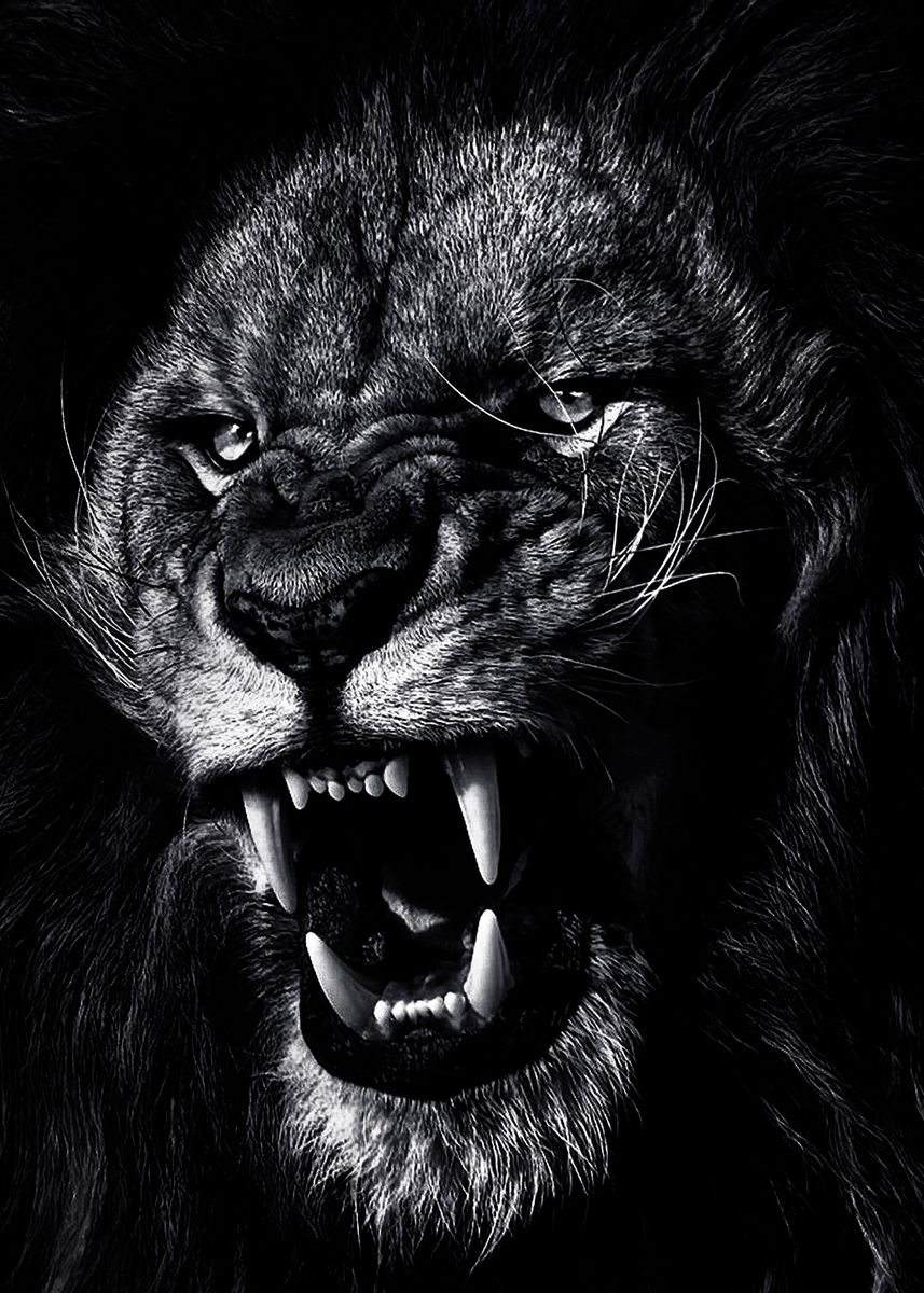 angry lion face poster ' Poster by MK studio | Displate