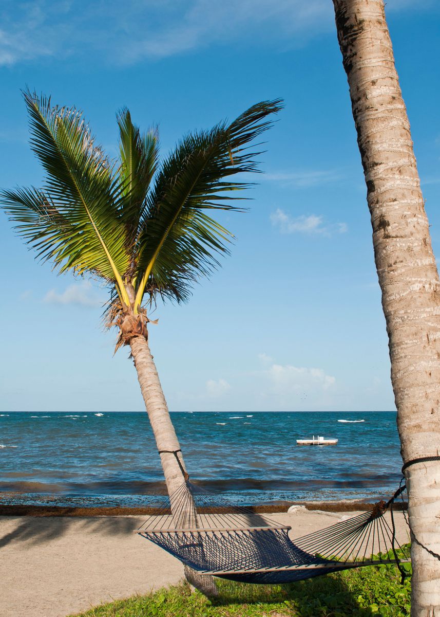 ‘Hammock On Palm Trees’ Poster by Stunning Wallpapers | Displate