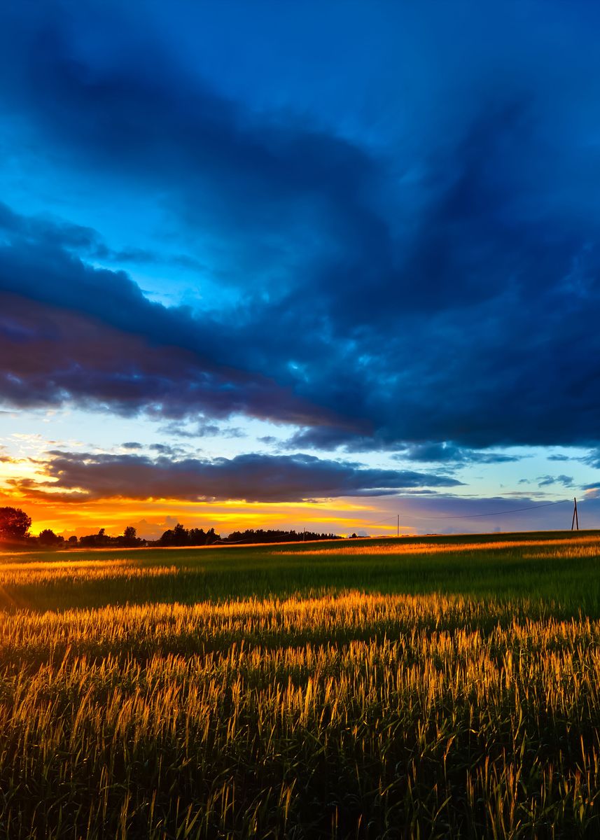 'A Sunset Over The Field' Poster by Stunning Wallpapers | Displate