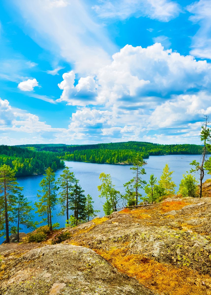 'Landscape Of Saimaa Lake F' Poster, picture, metal print, paint by ...